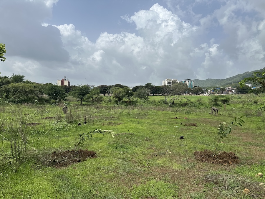 DPIFF team along with Indian Army hosted Tree Plantation Drive