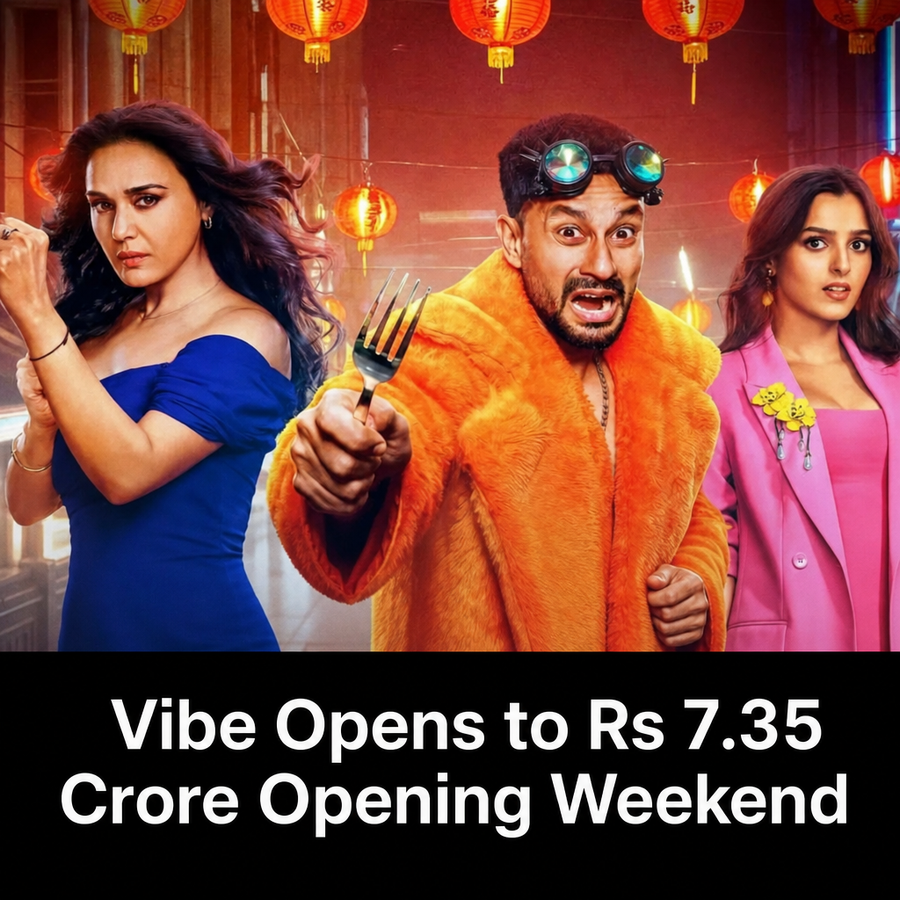 Poster for the film Vibe